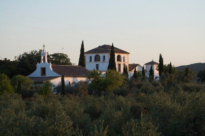 Cordoba Olive Oil mill, Wine, Passion - Inside the Olive Oil Mill: From Old Methods to Mechanized Reality