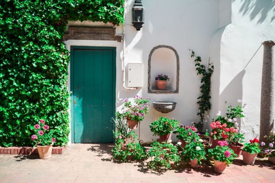 Cordoba: Patios and Viana Palace Tour - Key highlights to know before you go