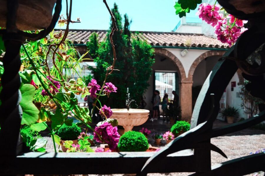 Cordoba: Patios and Viana Palace Tour - Starting at Palacio de Viana: follow the orange umbrella