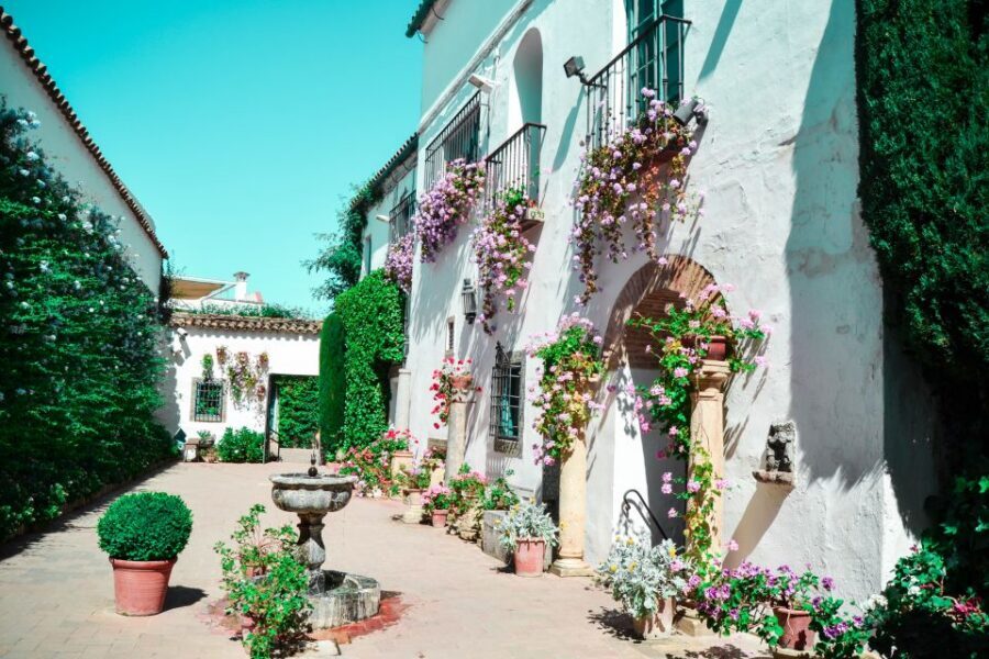 Cordoba: Patios and Viana Palace Tour - A guided walk through 12 patios and courtyards