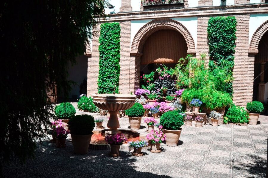 Cordoba: Patios and Viana Palace Tour - Step-by-step transition: from outdoor patios into the palace