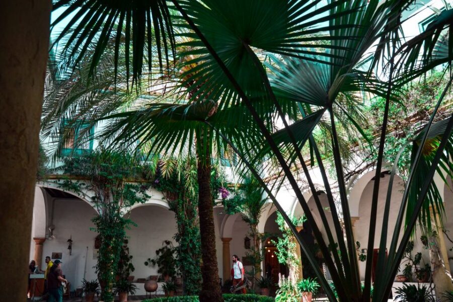 Cordoba: Patios and Viana Palace Tour - Why the guide experience is the real value