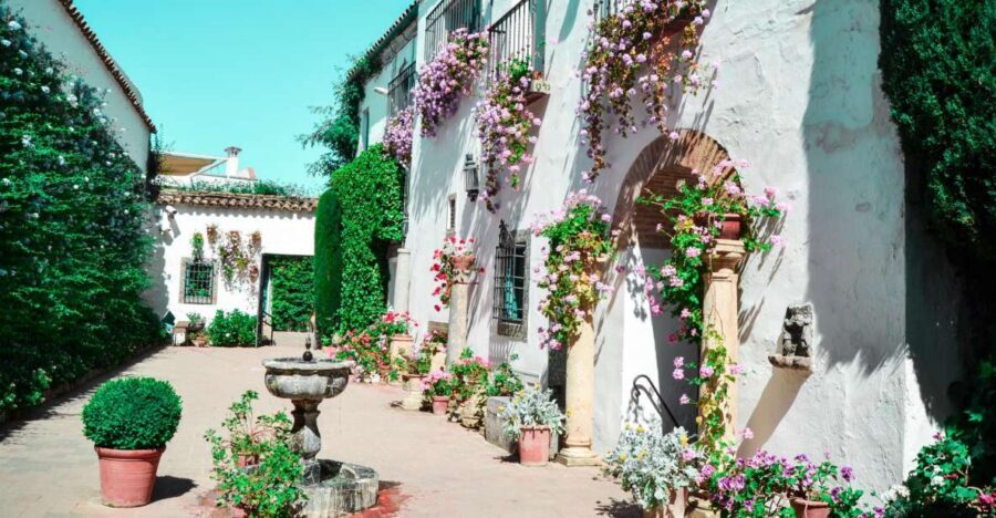 Cordoba: Patios and Viana Palace Tour - The patios of Córdoba: why Viana works so well