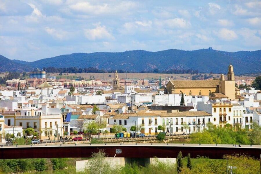 Cordoba : Patios Private Walking Tour - Key highlights at a glance
