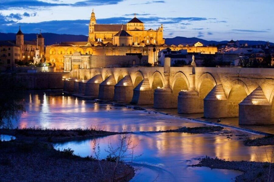 Cordoba : Patios Private Walking Tour - What’s included on the ground, and what to plan for
