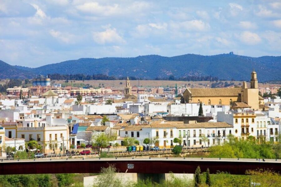 Cordoba: Private custom tour with a local guide - The custom guide check-in: how your tour gets shaped