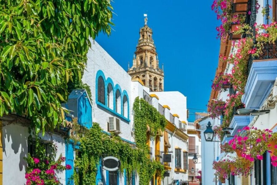 Córdoba: Private Mosque-Cathedral and City Tour - Who Should Book This Private Tour
