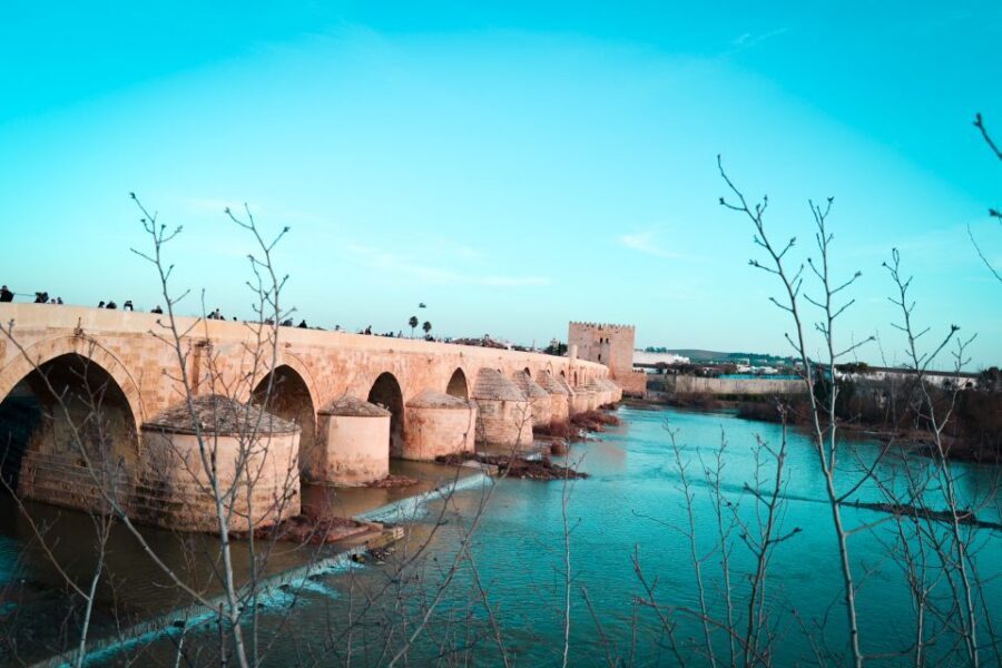 Córdoba: Private Walking Tour - Chapels and the Alcázar area: mixing big icons with side streets