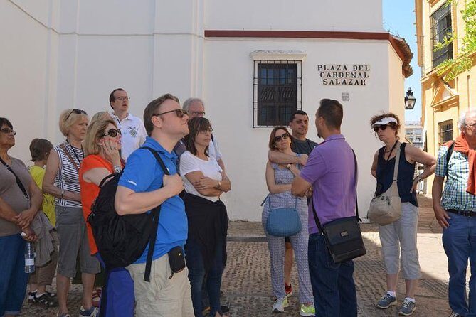 Cordoba Relax Tour in English Tickets included - Hospital del Cardenal Salazar and Al-Gafequi statue: where learning meets medicine