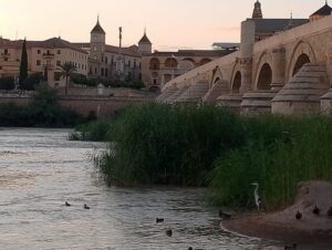 Córdoba: Tour of the three cultures to see the city in a day - Photo stops that turn into real orientation (not just quick snapshots)