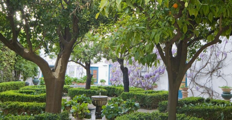 Córdoba: Viana Palace Gardens and Patios Entry Ticket - Córdoba’s Courtyard Museum at Palacio de Viana: What You’re Signing Up For