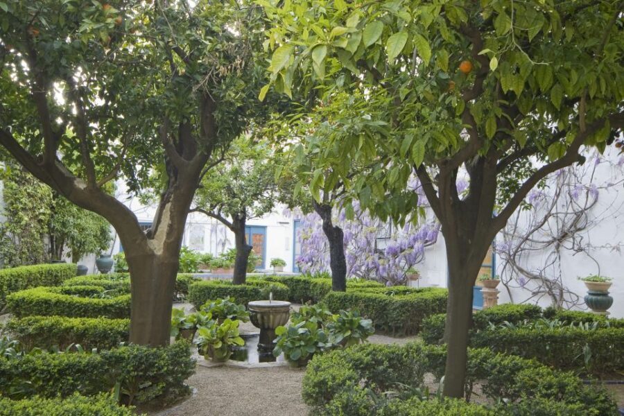 Córdoba: Viana Palace Gardens and Patios Entry Ticket - 12 Courtyards and Multiple Eras: How the Walk Feels Like a Time Trip
