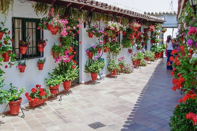 Cordoba's Authentic Patios: 2-Hour Tour with Tickets - Why Cordoba patios are more than pretty flowers