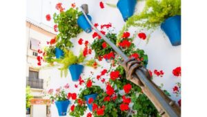 Cordoba's Authentic Patios: 2-Hour Tour with Tickets - The route: Alcázar Viejo walk that ends by the Guadalquivir