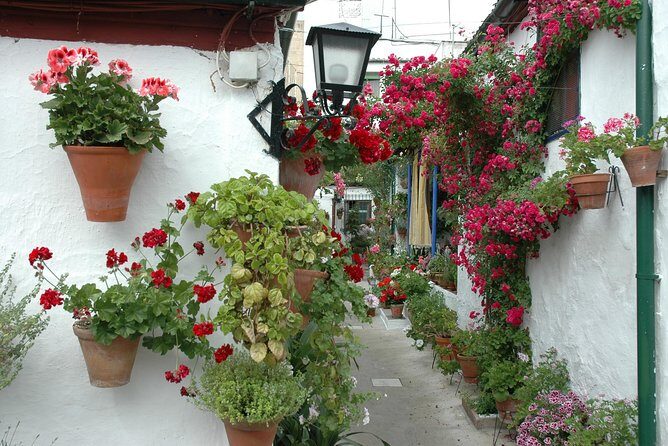 Cordoba's Authentic Patios: 2-Hour Tour with Tickets - When May crowds hit: what changes during the Patios Festival