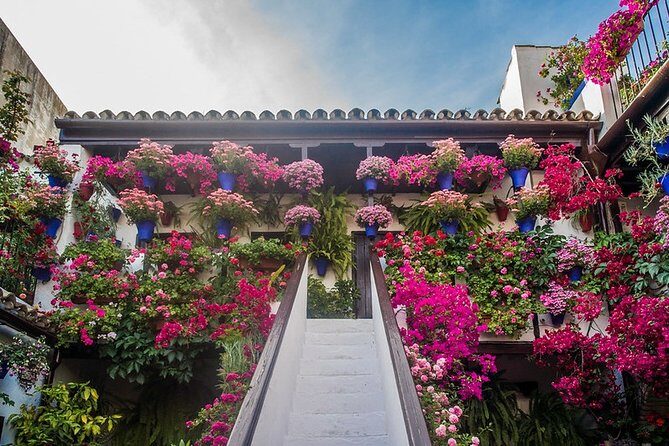 Cordoba's Authentic Patios: 2-Hour Tour with Tickets - Price and value: what $21 gets you in real terms