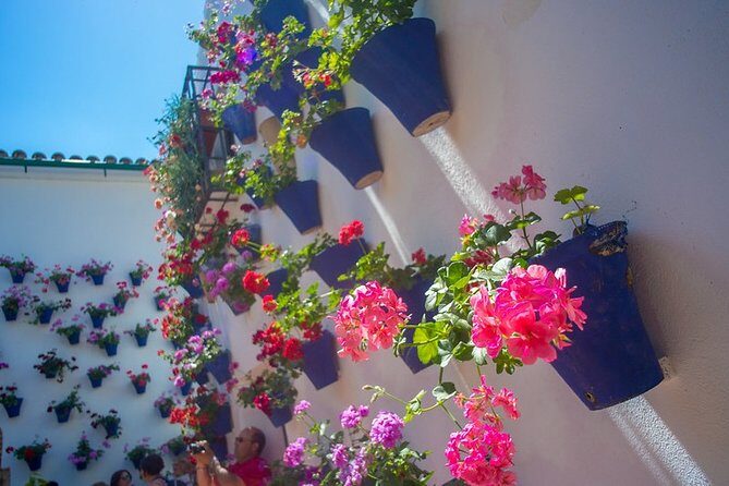 Cordoba's Authentic Patios: 2-Hour Tour with Tickets - The route: Alcázar Viejo walk that ends by the Guadalquivir