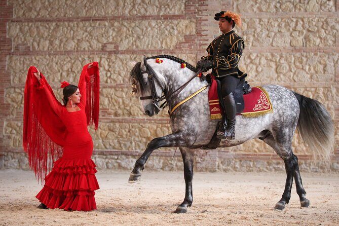 Equestrian Show Royal Stables of Córdoba - Key things to know before you go