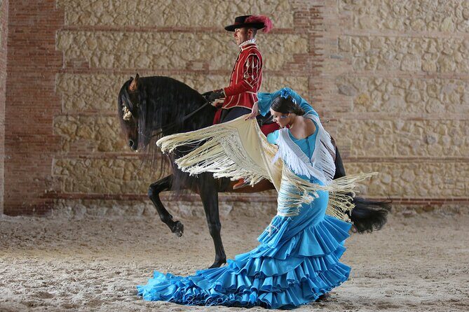 Equestrian Show Royal Stables of Córdoba - Royal Stables of Córdoba: what kind of show this actually is