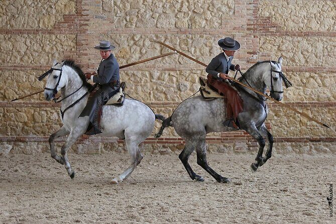 Equestrian Show Royal Stables of Córdoba - Picking seats: premium comfort vs cheaper rows