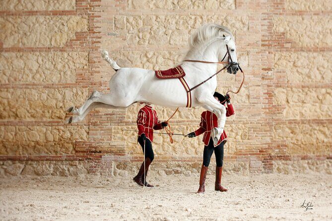 Equestrian Show Royal Stables of Córdoba - Inside the ring: dressage meets flamenco