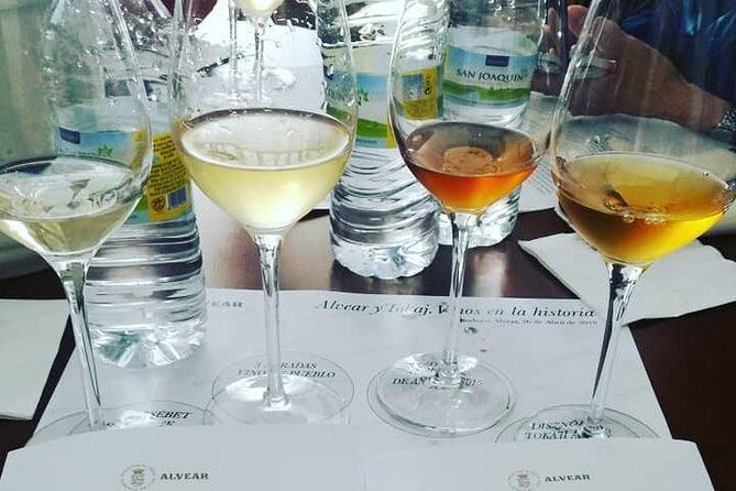 Evening Wine Tasting Córdoba - Where You Start: C. Moriscos 10 and a Shop That Opens for Tastings