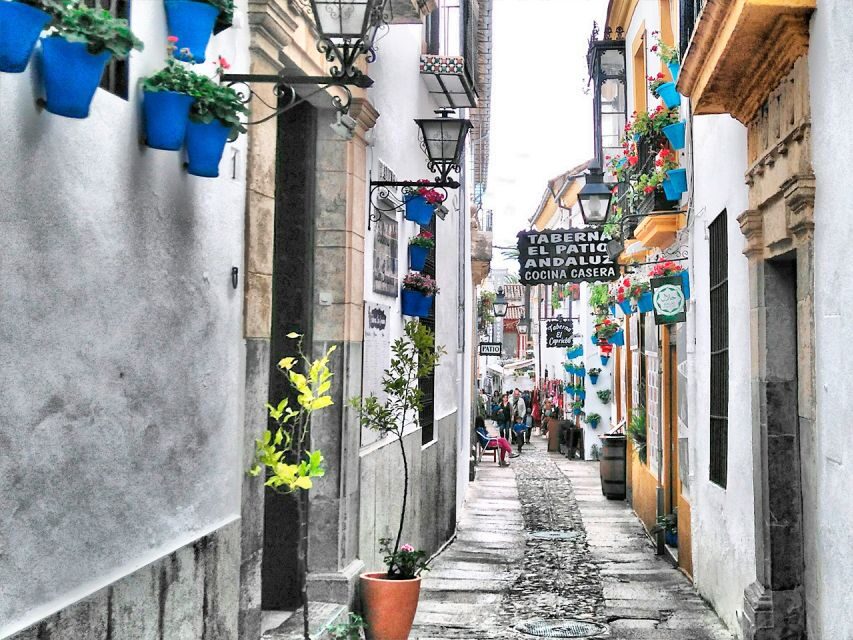 From Costa del Sol: Day Trip to Cordoba Free Time - Key points I’d plan around