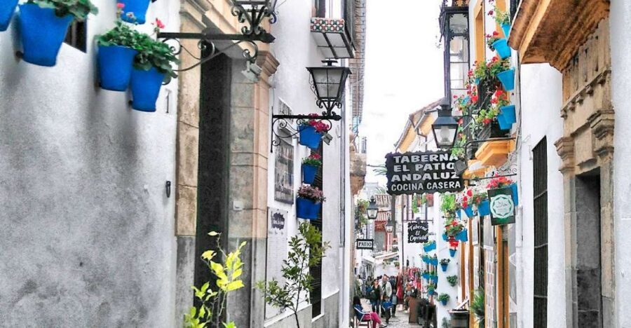 From Costa del Sol: Day Trip to Cordoba Free Time - Why Córdoba Works as a Day Trip From the Costa del Sol