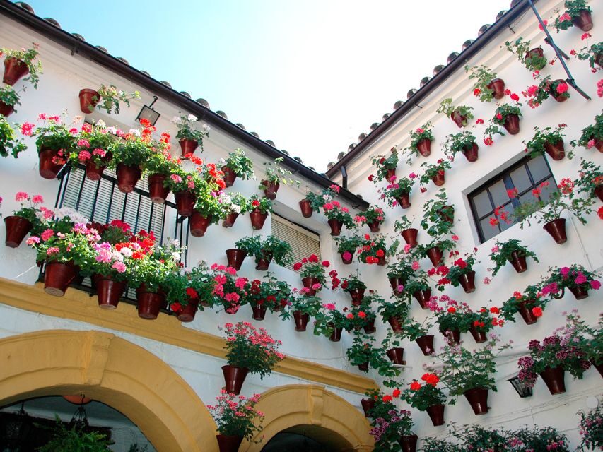 From Costa del Sol: Day Trip to Cordoba Free Time - Five Hours of Free Time: Jewish Quarter Streets to Calleja de las Flores