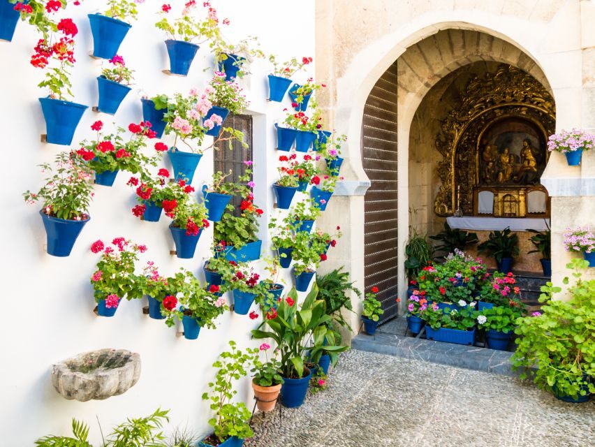 From Costa del Sol: Day Trip to Cordoba Free Time - San Basilio Patios and What to Eat: Salmorejo and Flamenquines