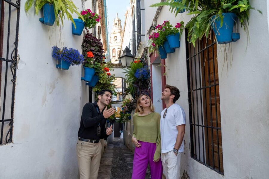From Madrid: Córdoba Private Day Tour by High-Speed Train - High-speed sanity: Madrid to Córdoba without losing the day