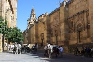 Guided tour: discover the 2 great monuments in Córdoba: Mezquita and Alcázar. - Mezquita-Catedral de Córdoba: the guide helps you read the building