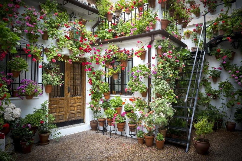 Guided tour in Spanish to the courtyards of Córdoba - Quick hits before you go
