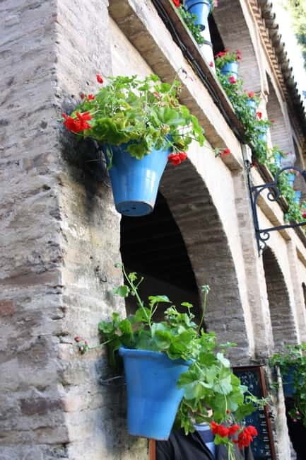 Guided tour in Spanish to the courtyards of Córdoba - What makes Córdoba courtyards special (and why this tour works)