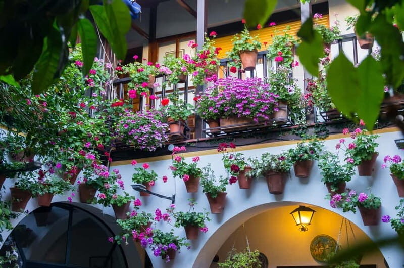 Guided tour in Spanish to the courtyards of Córdoba - The 2-hour courtyard walk: what you’ll see and what the guide focuses on