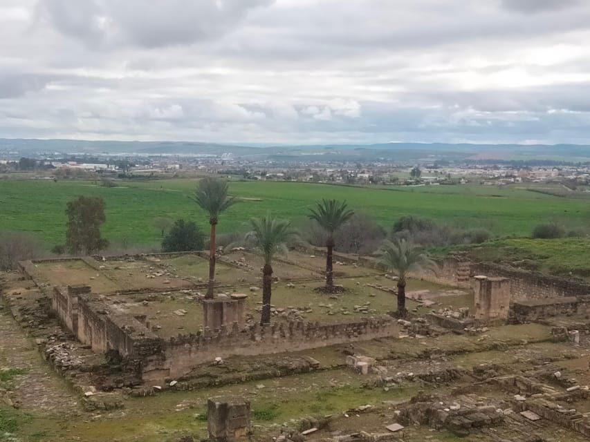 Guided tour of Medina Azahara only in french - Key things to know before you go
