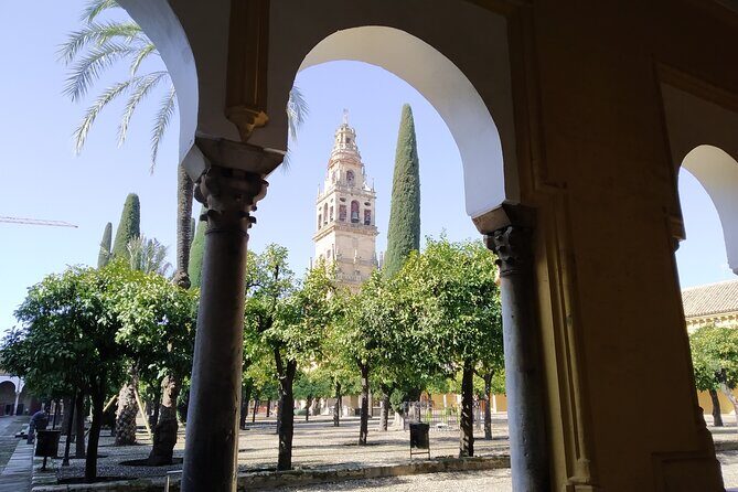 Guided tour of the Mosque-Cathedral of Cordoba in Spanish - What makes the Mosque-Cathedral tour worth it (even if you think you know it)