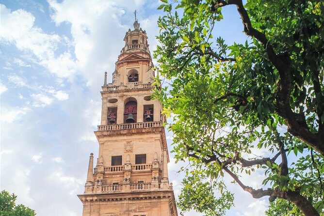 Guided tour of the Mosque with entrance included - Where this tour fits in your Córdoba day