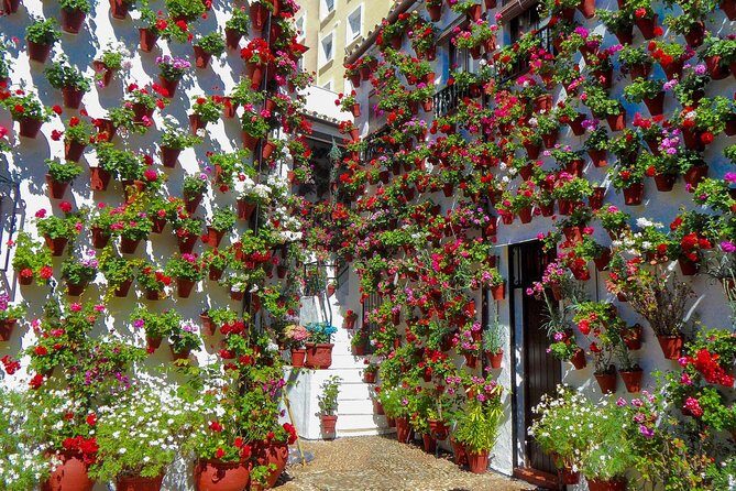 Guided Tour to the Popular Patios of Cordoba - Key things I’d zoom in on