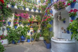Guided Tour to the Popular Patios of Cordoba - The itinerary pace: relaxed, but not a marathon