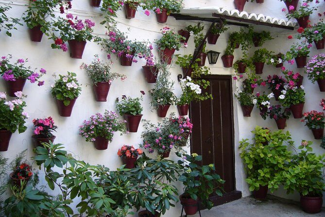 Guided Tour to the Popular Patios of Cordoba - Guides make or break a patio visit