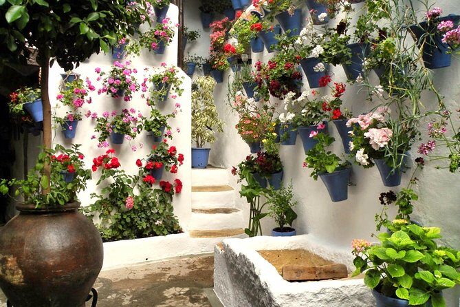 Guided Tour to the Popular Patios of Cordoba - Who this tour fits best
