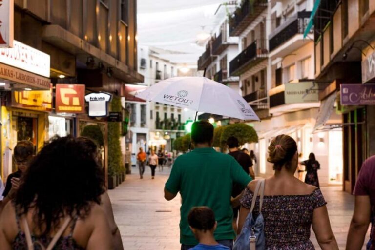 Heritage Córdoba: The most essential tour in Córdoba - A 1.5-hour walking tour you can plan around