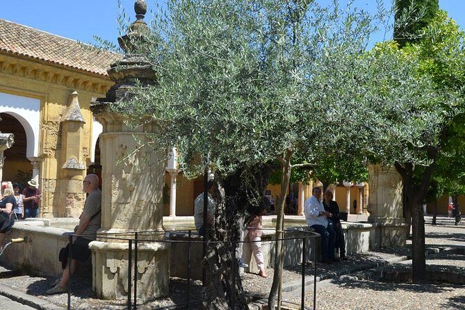 Mosque of Cordoba History Tour in English Tickets included - Photo time vs. explanation time: how to plan after the tour