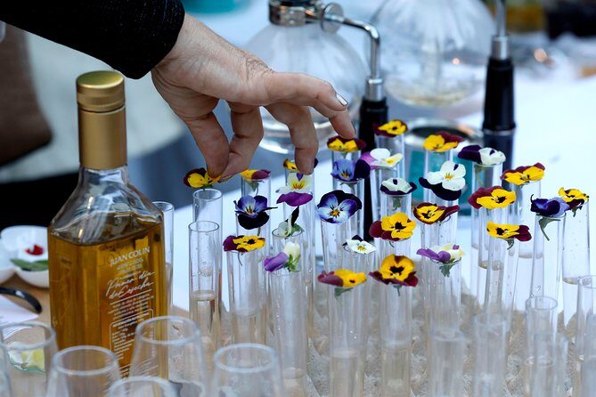 Olive Oil tasting breakfast & Tour in Cordoba - Key highlights worth showing up for
