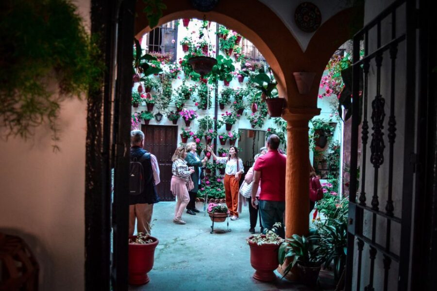 Patios of Cordoba Walking Tour - Key highlights you’ll actually care about