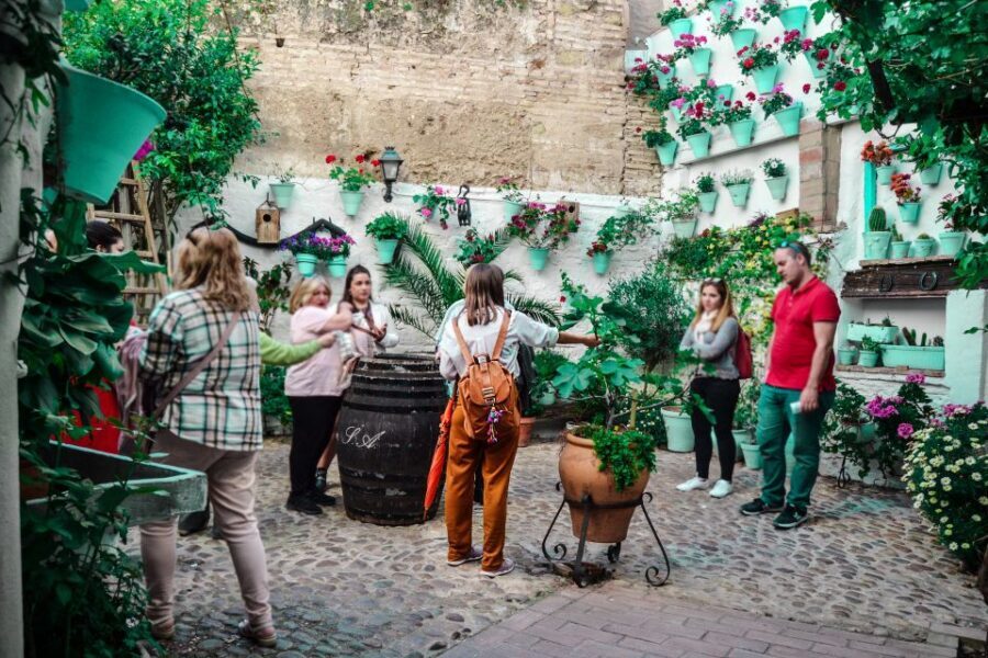 Patios of Cordoba Walking Tour - Patios of Córdoba: why these courtyards matter