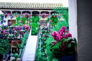Patios of Cordoba Walking Tour - What you’ll see: flowers, mosaics, and that classic patio feel