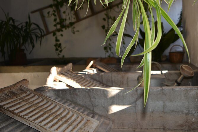 Patios & Perfums of Cordoba Festival Tour - How the guide changes the whole patio experience