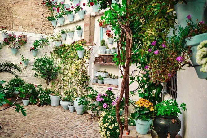 Patios tour in Cordoba - Why Córdoba patios feel different from other sights